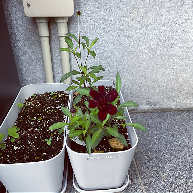 Yukicotoさんの実例写真
