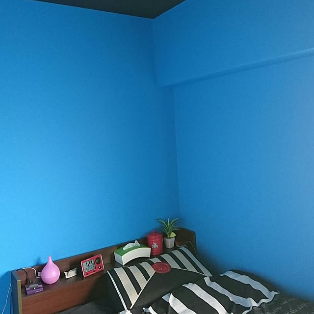 rf7rak1aさんの実例写真