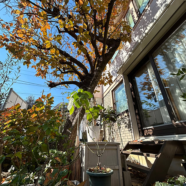 botanさんの部屋