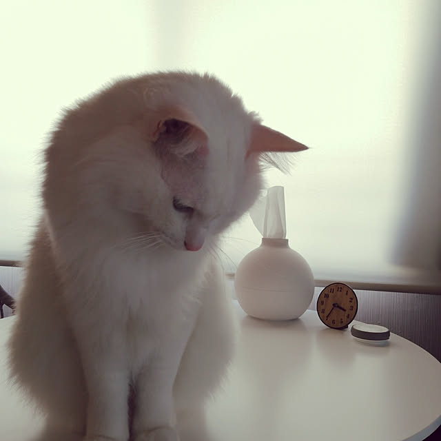 miyuさんの実例写真