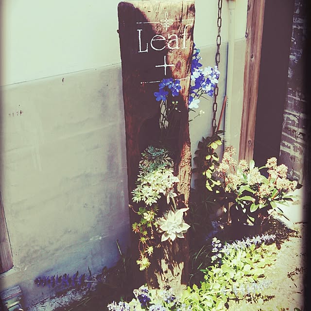 leafPlusさんの実例写真
