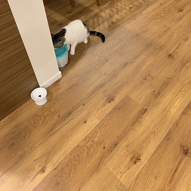 ueipa23さんの実例写真