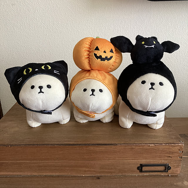 Sachiさんの実例写真