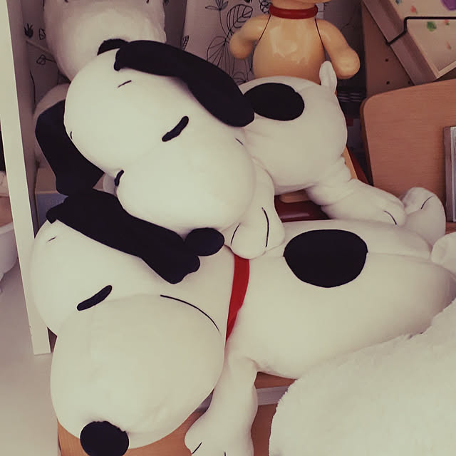 ANTENNAさんの実例写真