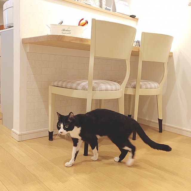 lovecatさんの実例写真