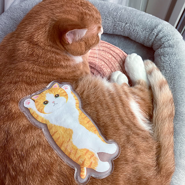 myuuさんの実例写真