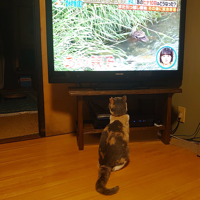 fukuさんの実例写真