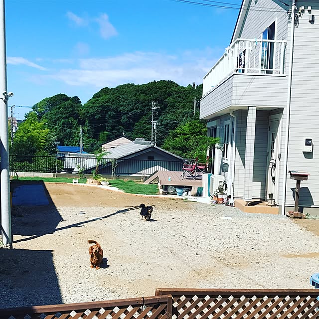 simamuuさんの実例写真