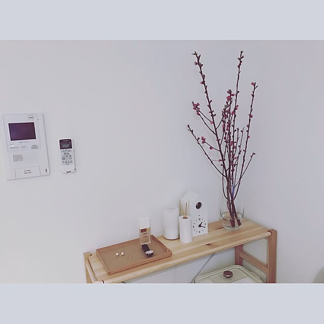 Kazukiさんの実例写真