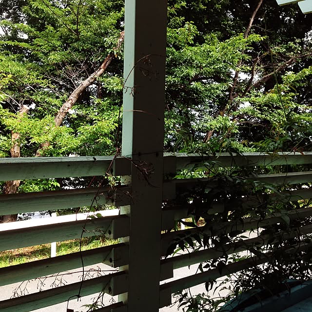 popoさんの実例写真