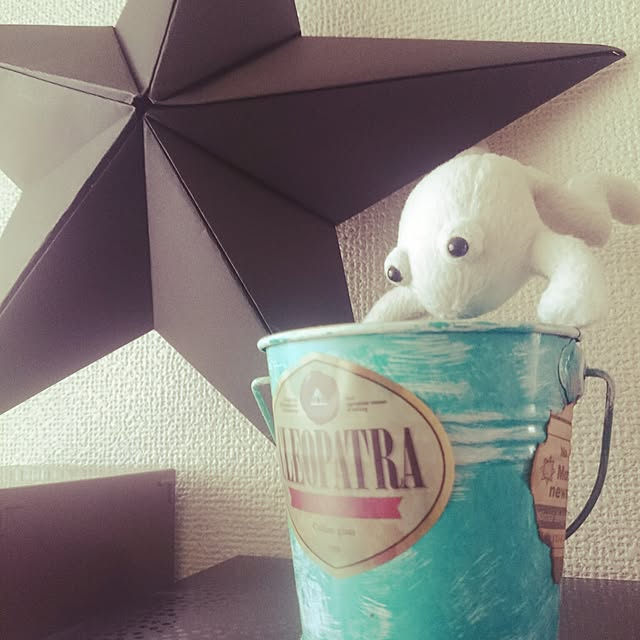 mamimamipockyさんの実例写真