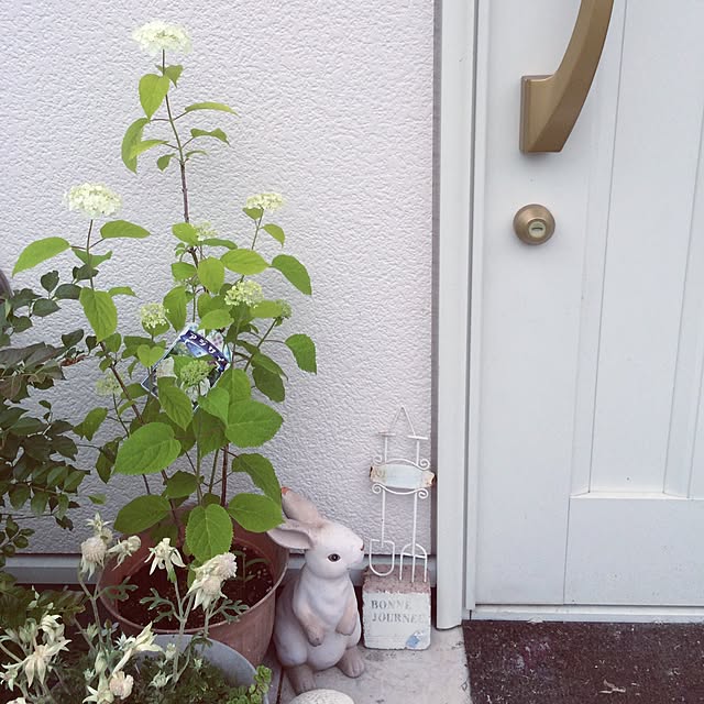 実例写真