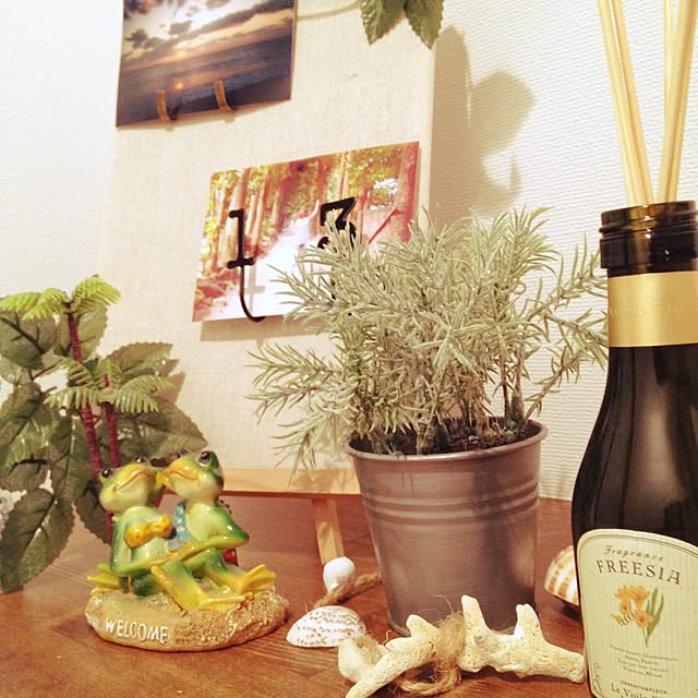 玄関/入り口/100均/DIY/観葉植物のインテリア実例 - 2015-09-23 18:04:28