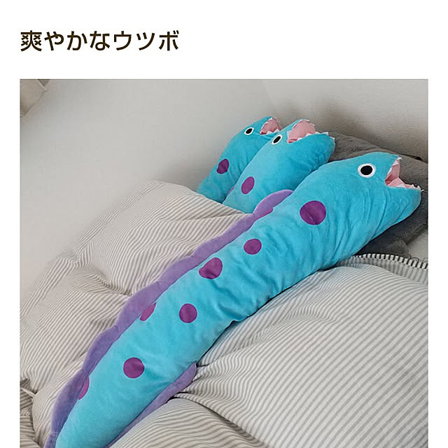ujimAさんの実例写真