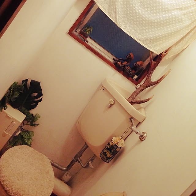 purifyさんの実例写真