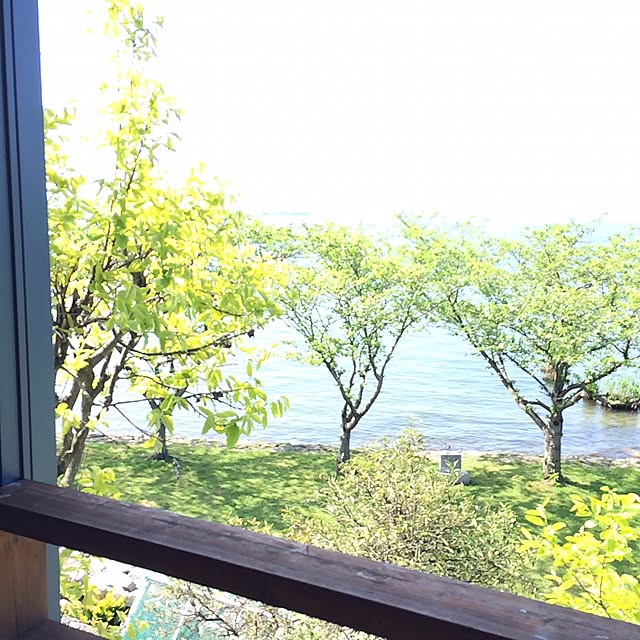 実例写真