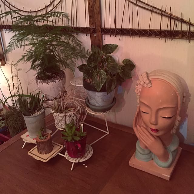 tsuyopipさんの実例写真