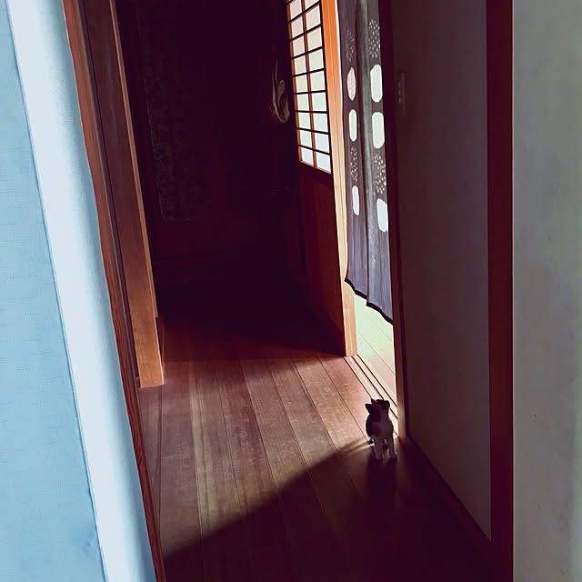 maroさんの実例写真