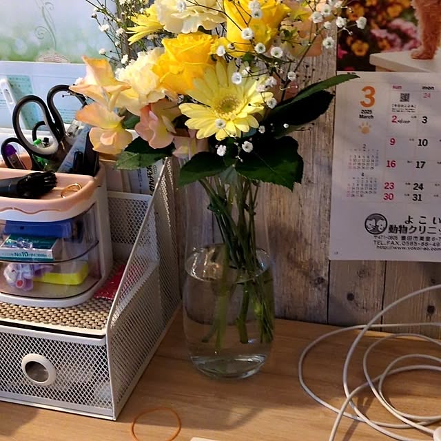 quanshanxia037さんの部屋