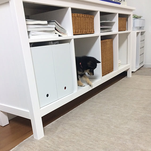 kyoppiさんの実例写真