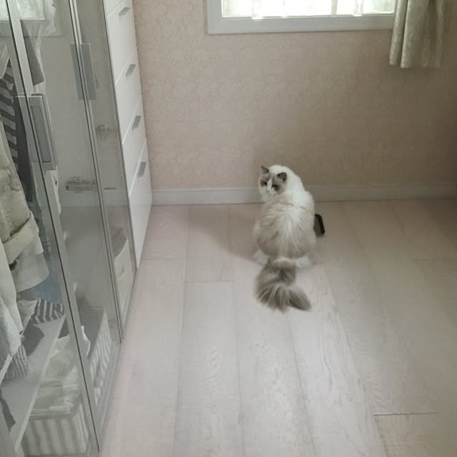 yuchiさんの実例写真