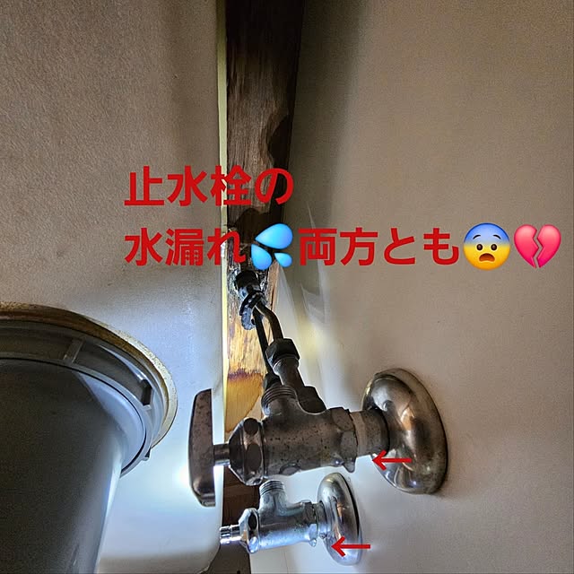 ken.kawakamiさんの部屋