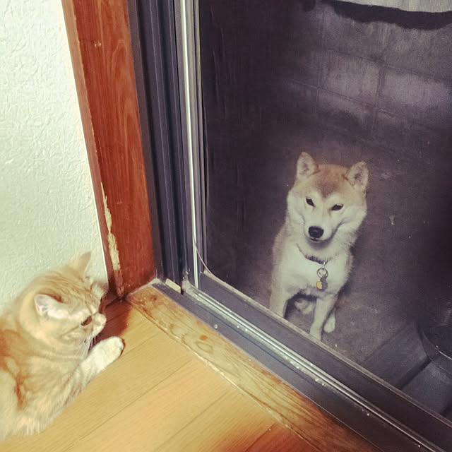 fruityanさんの実例写真