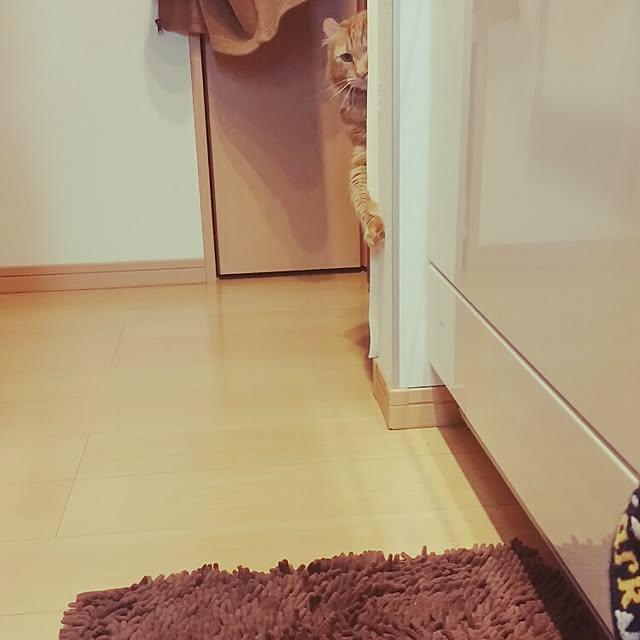 l..tomesanさんの実例写真