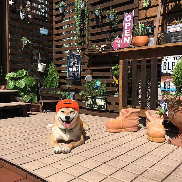 ronmaruさんの実例写真