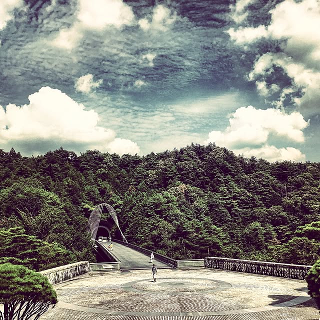 実例写真