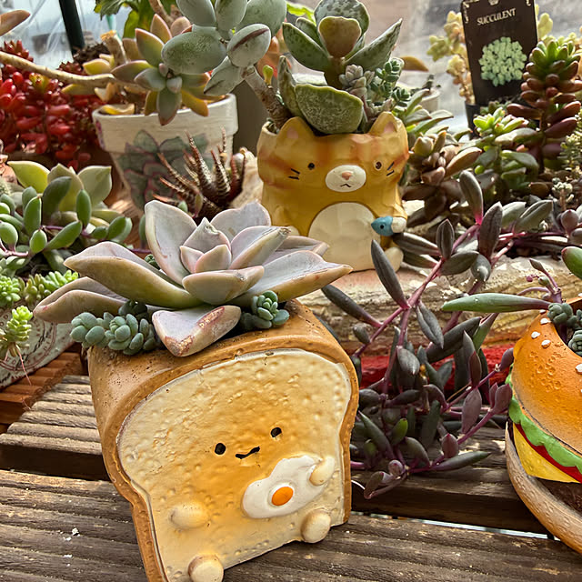 Aqettyさんの部屋