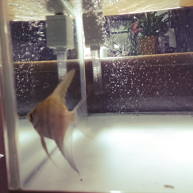 ywr.chanさんの実例写真