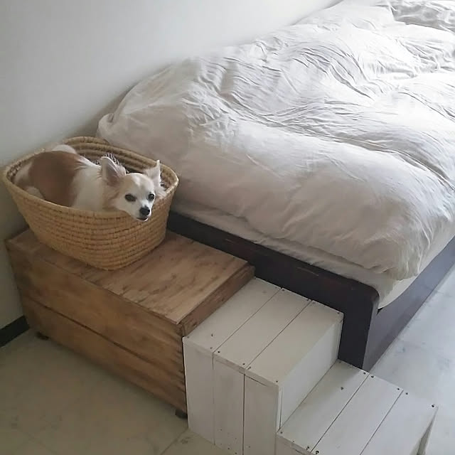 nonさんの実例写真