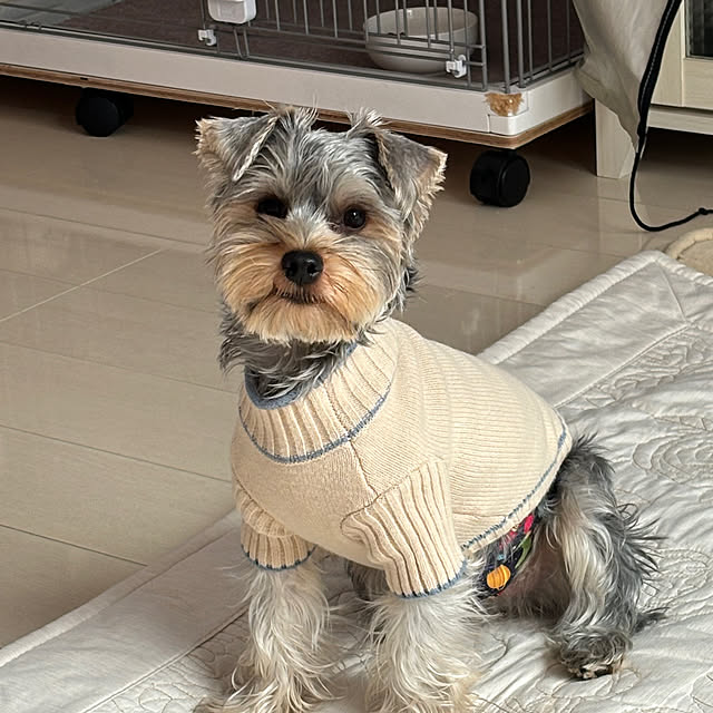 msさんの部屋