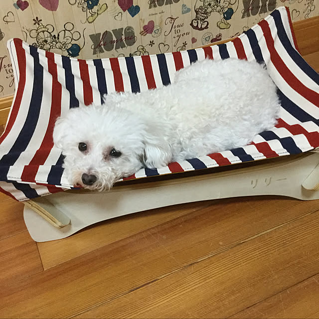 kakoさんの実例写真