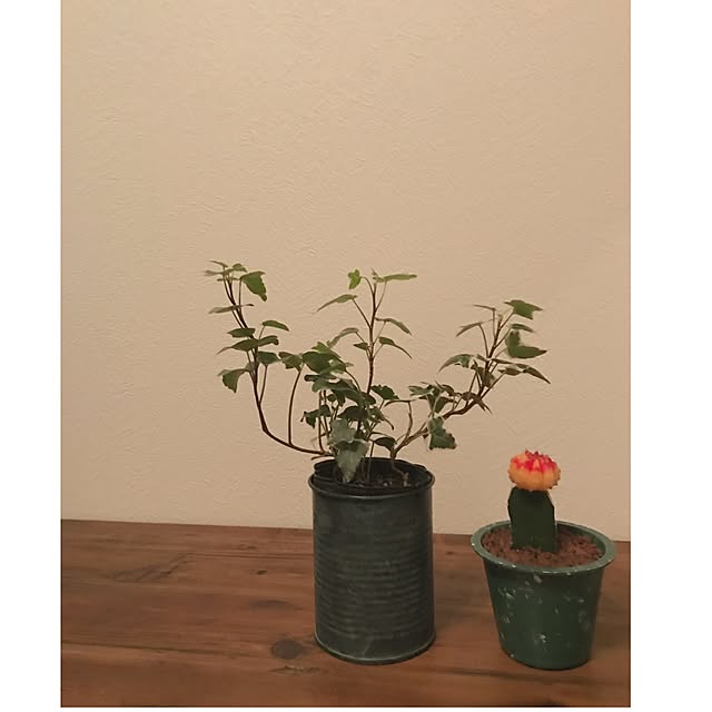 T.Kさんの実例写真