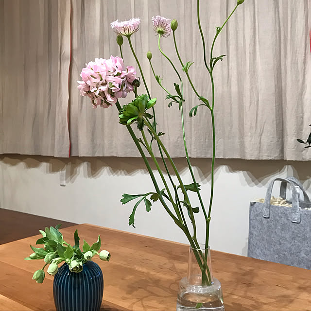 mameさんの実例写真