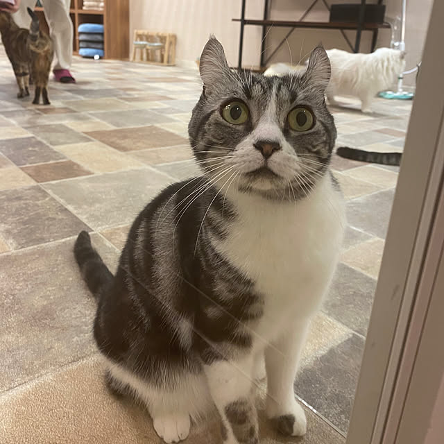 ohanaさんの部屋