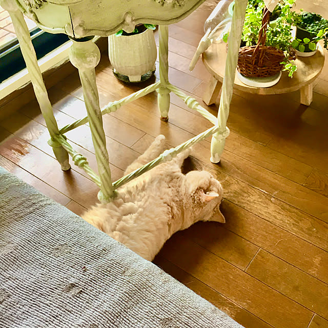 naokoさんの部屋