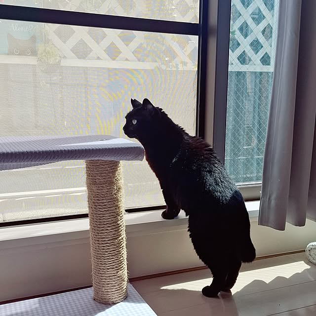 moko.7525himeさんの部屋