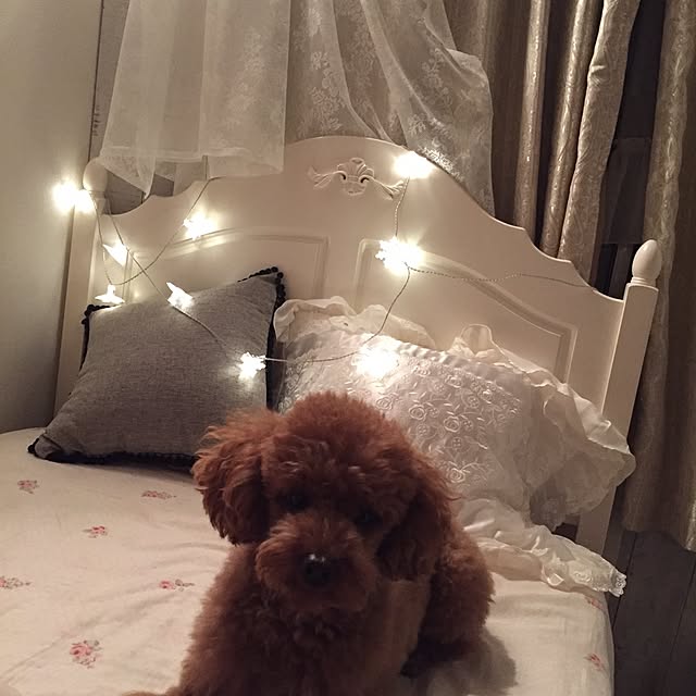Naomiさんの実例写真