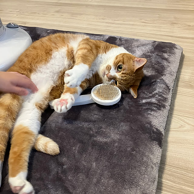 myuuさんの部屋