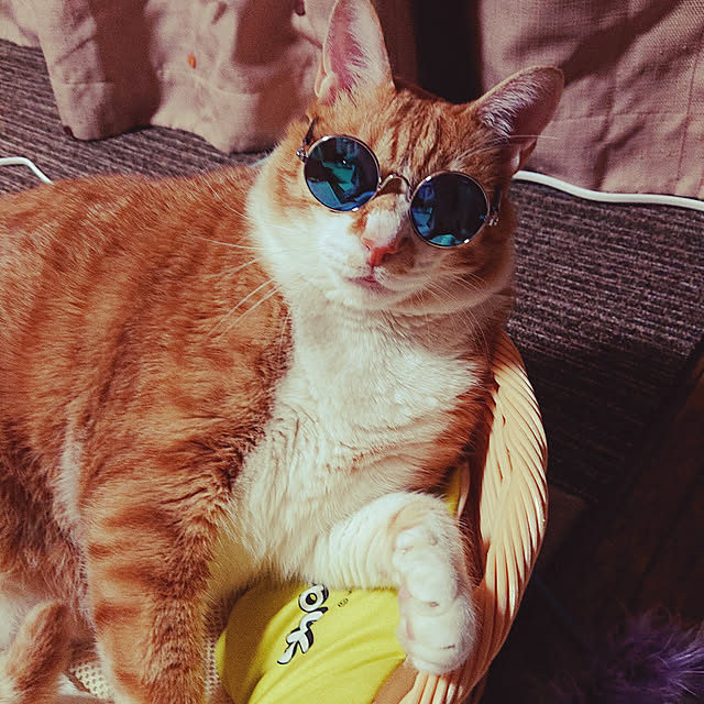 LaLaさんの実例写真