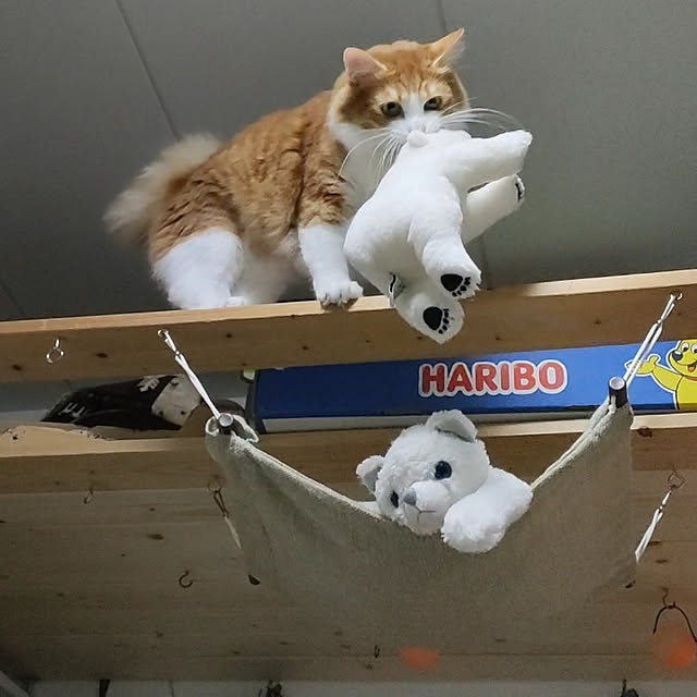 mori_6_12さんの実例写真