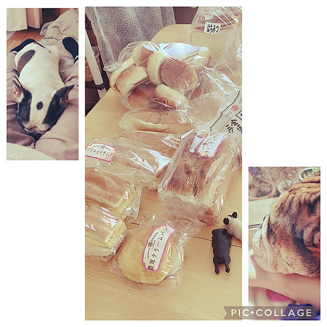 chi_gogaさんの実例写真