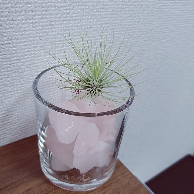 Riokaさんの実例写真