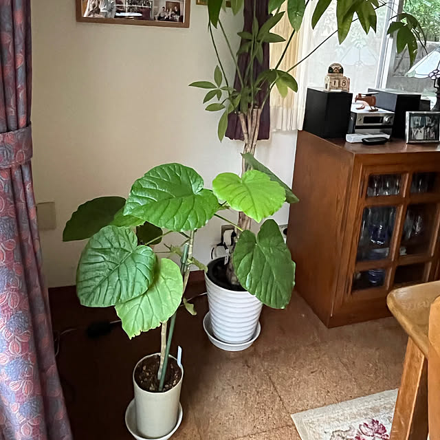 Aqettyさんの部屋