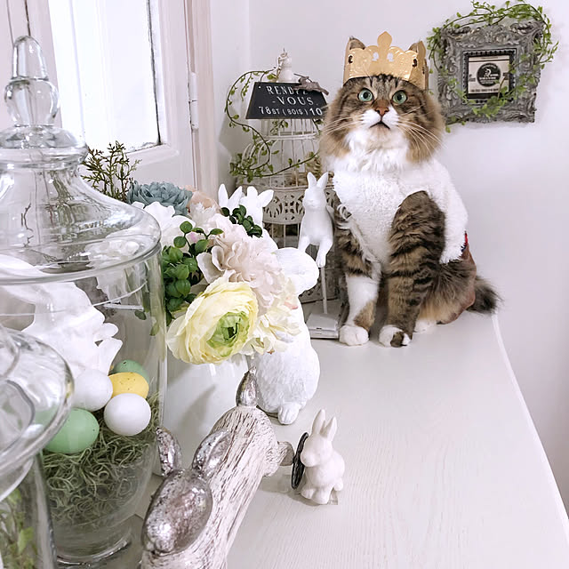 yuchiさんの実例写真