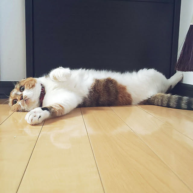 hiro3さんの実例写真