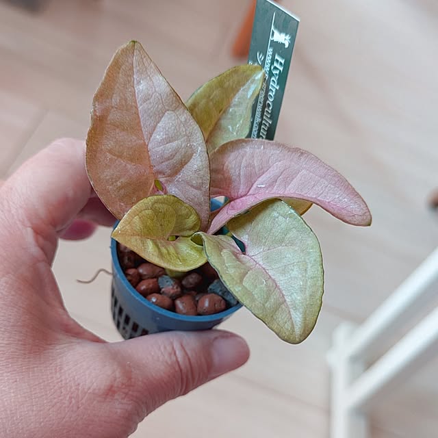 mi-saさんの実例写真